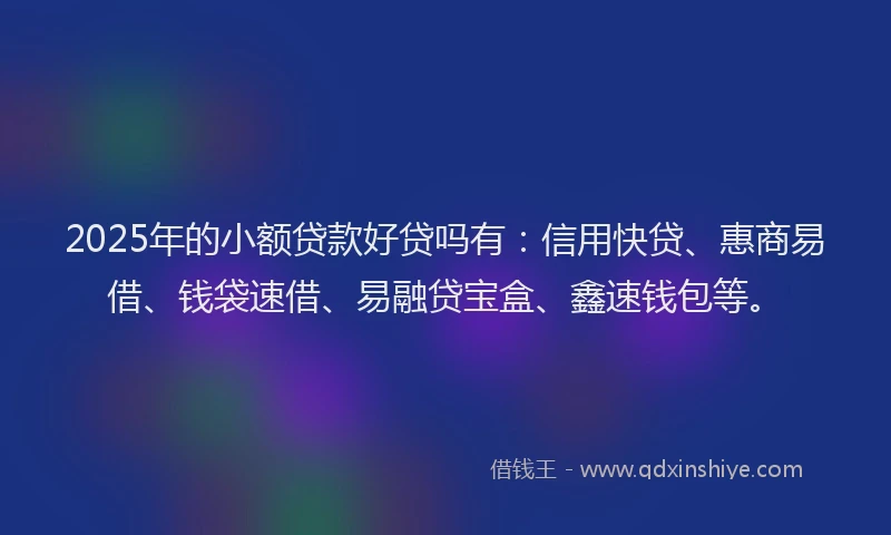 2025年的小额贷款好贷吗有：信用快贷、惠商易借、钱袋速借、易融贷宝盒、鑫速钱包等。