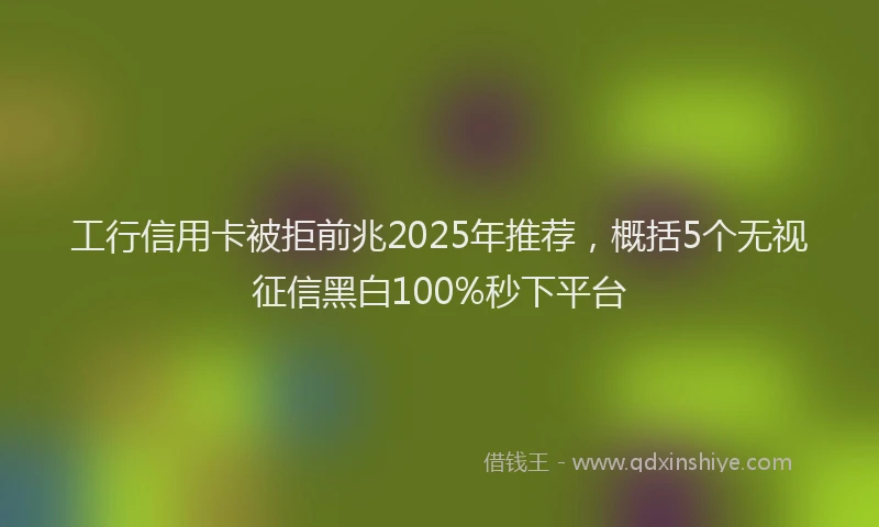 工行信用卡被拒前兆2025年推荐，概括5个无视征信黑白100%秒下平台