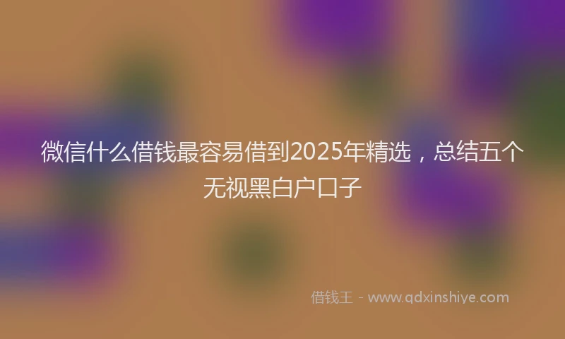微信什么借钱最容易借到2025年精选，总结五个无视黑白户口子