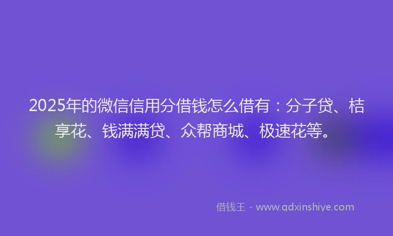 2025年的微信信用分借钱怎么借有：分子贷、桔享花、钱满满贷、众帮商城、极速花等。