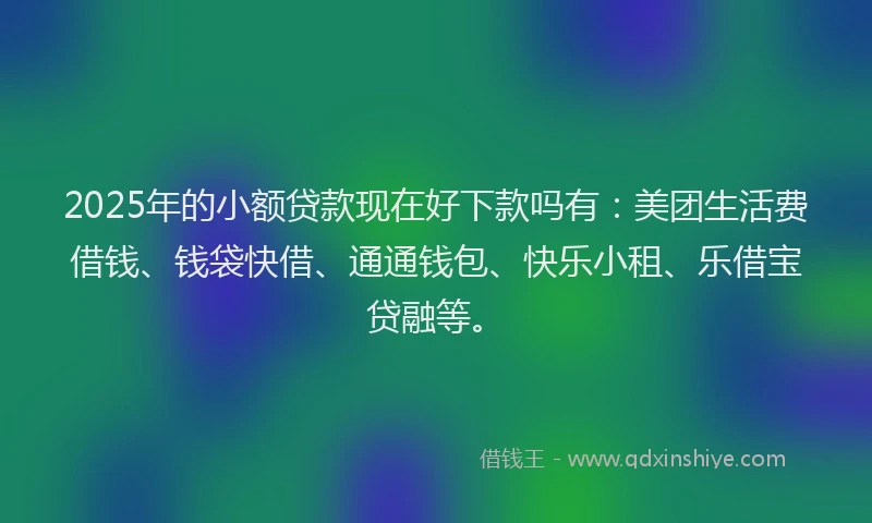 2025年的小额贷款现在好下款吗有：美团生活费借钱、钱袋快借、通通钱包、快乐小租、乐借宝贷融等。