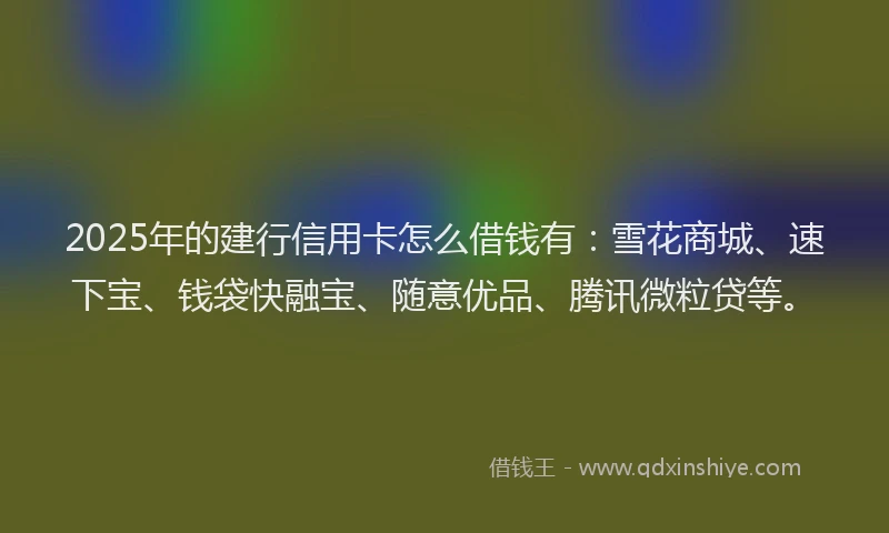 2025年的建行信用卡怎么借钱有：雪花商城、速下宝、钱袋快融宝、随意优品、腾讯微粒贷等。