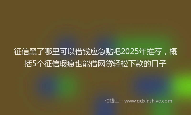 征信黑了哪里可以借钱应急贴吧2025年推荐，概括5个征信瑕疵也能借网贷轻松下款的口子