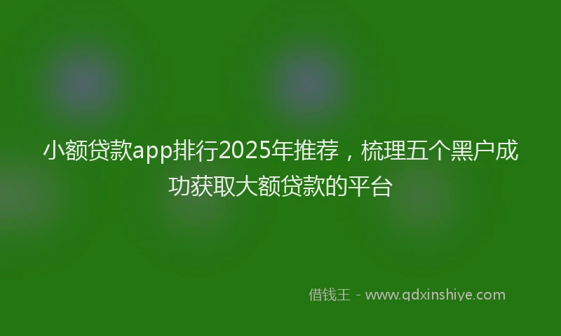 小额贷款app排行2025年推荐，梳理五个黑户成功获取大额贷款的平台