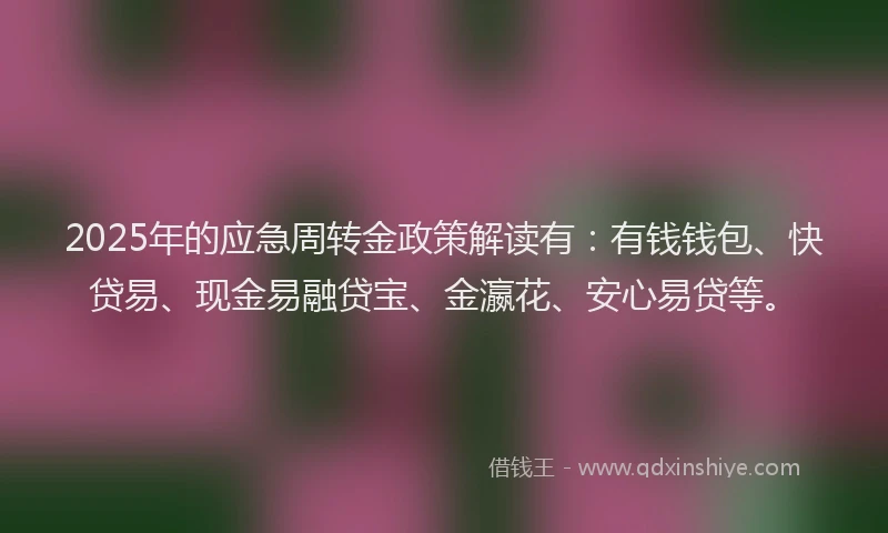 2025年的应急周转金政策解读有：有钱钱包、快贷易、现金易融贷宝、金瀛花、安心易贷等。