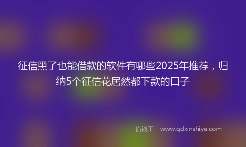征信黑了也能借款的软件有哪些2025年推荐，归纳5个征信花居然都下款的口子