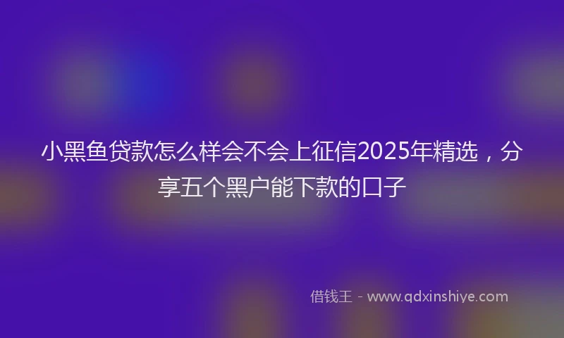 小黑鱼贷款怎么样会不会上征信2025年精选，分享五个黑户能下款的口子