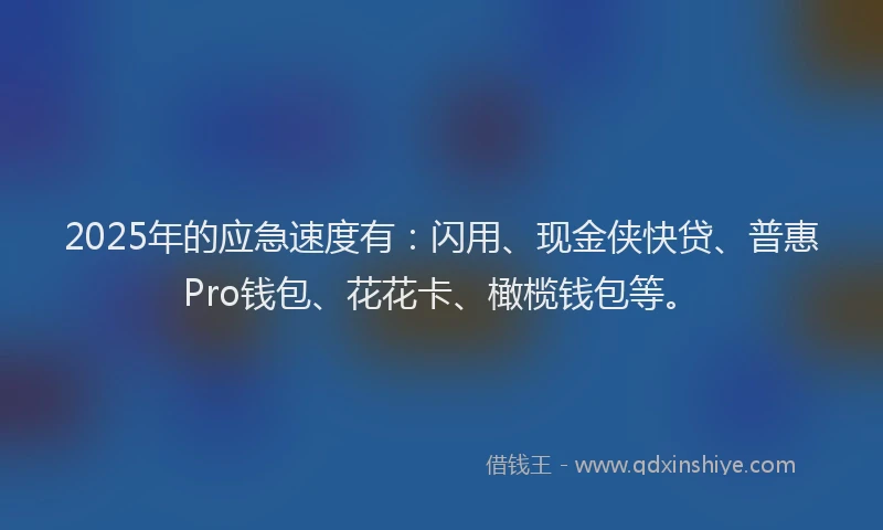 2025年的应急速度有：闪用、现金侠快贷、普惠Pro钱包、花花卡、橄榄钱包等。