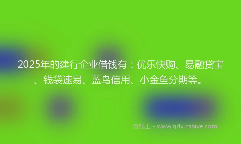 2025年的建行企业借钱有：优乐快购、易融贷宝、钱袋速易、蓝鸟信用、小金鱼分期等。