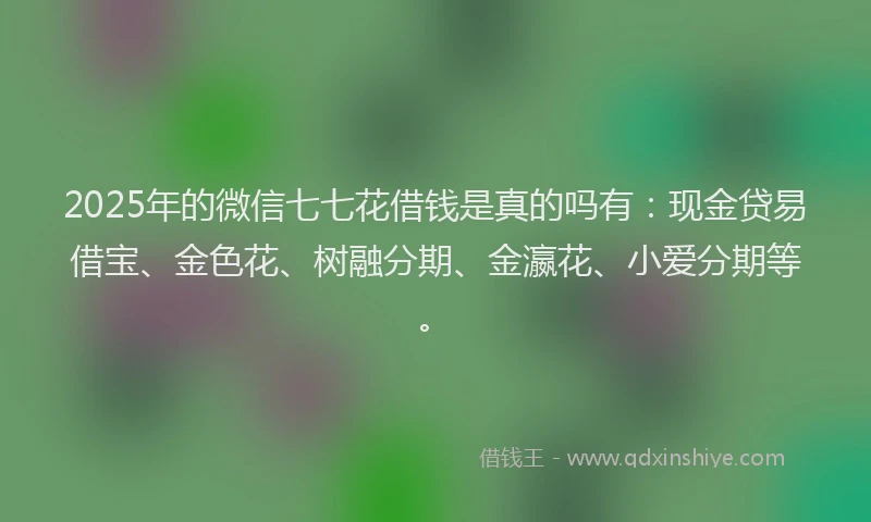 2025年的微信七七花借钱是真的吗有：现金贷易借宝、金色花、树融分期、金瀛花、小爱分期等。
