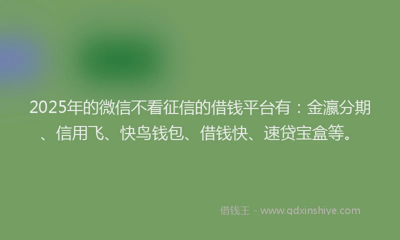 2025年的微信不看征信的借钱平台有：金瀛分期、信用飞、快鸟钱包、借钱快、速贷宝盒等。
