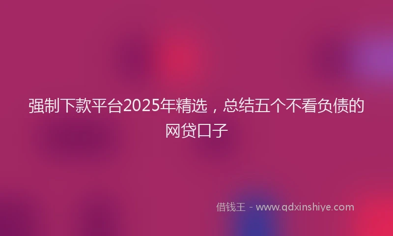 强制下款平台2025年精选，总结五个不看负债的网贷口子
