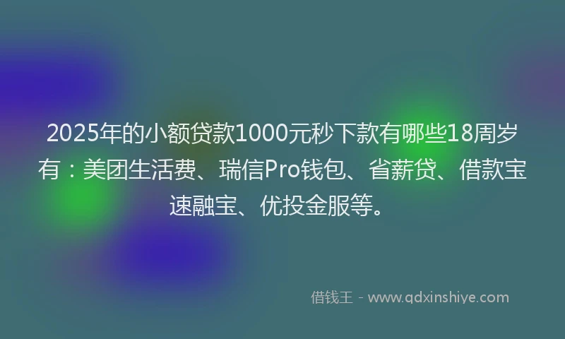 2025年的小额贷款1000元秒下款有哪些18周岁有：美团生活费、瑞信Pro钱包、省薪贷、借款宝速融宝、优投金服等。