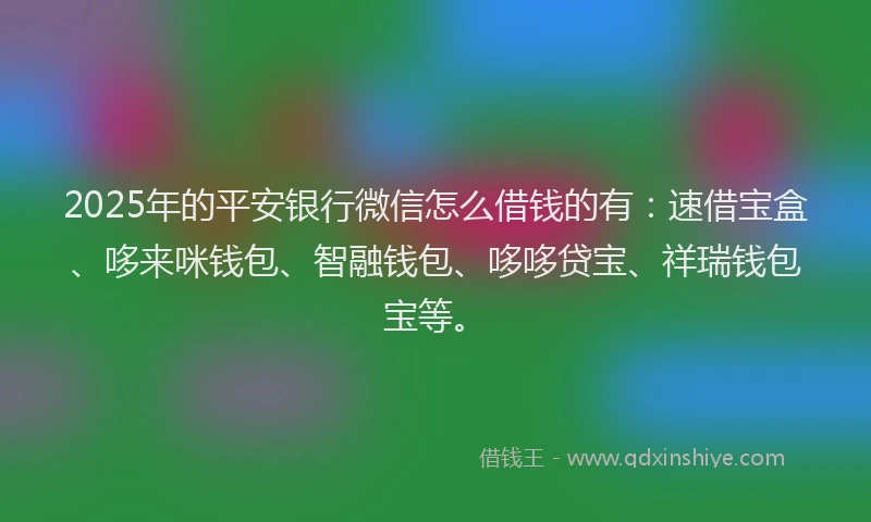 2025年的平安银行微信怎么借钱的有：速借宝盒、哆来咪钱包、智融钱包、哆哆贷宝、祥瑞钱包宝等。