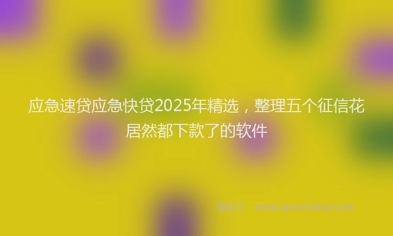 应急速贷应急快贷2025年精选，整理五个征信花居然都下款了的软件