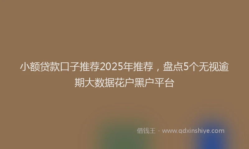 小额贷款口子推荐2025年推荐，盘点5个无视逾期大数据花户黑户平台