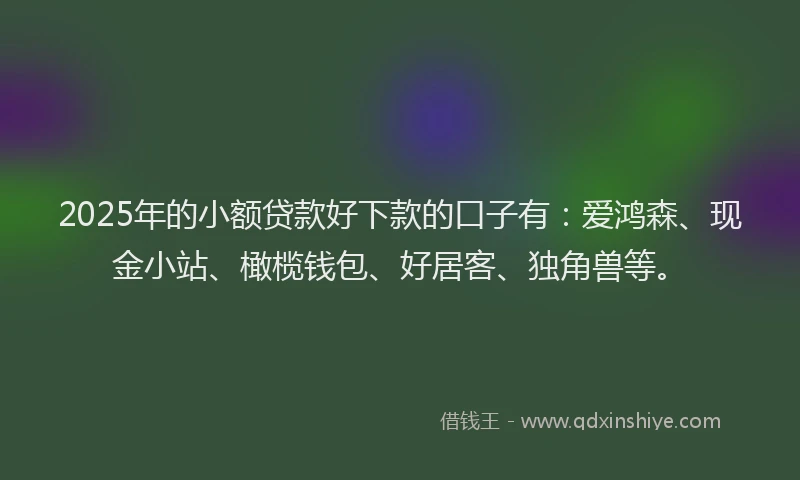 2025年的小额贷款好下款的口子有：爱鸿森、现金小站、橄榄钱包、好居客、独角兽等。