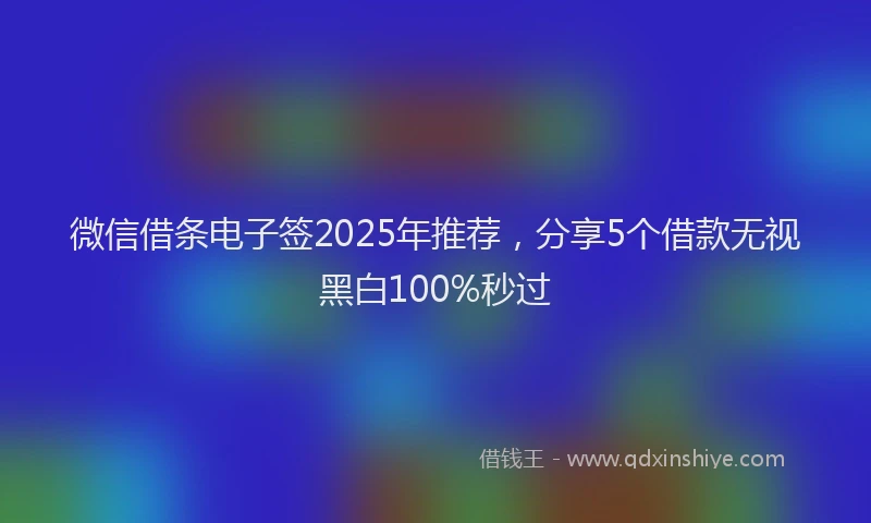 微信借条电子签2025年推荐，分享5个借款无视黑白100%秒过