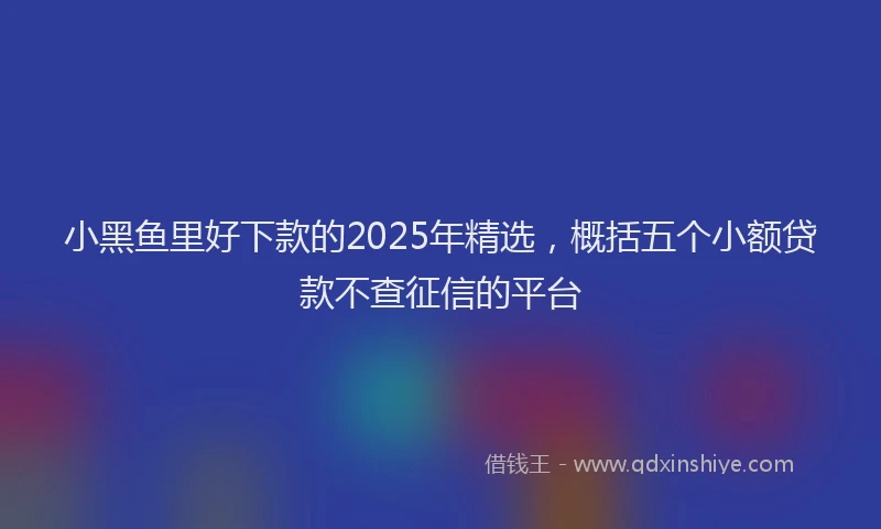 小黑鱼里好下款的2025年精选，概括五个小额贷款不查征信的平台