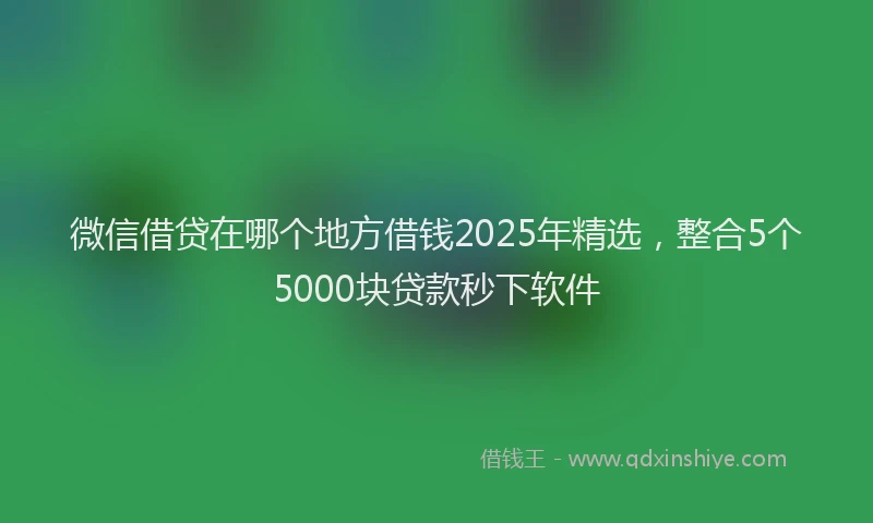 微信借贷在哪个地方借钱2025年精选，整合5个5000块贷款秒下软件