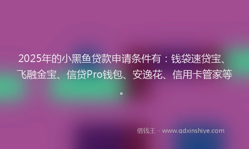 2025年的小黑鱼贷款申请条件有：钱袋速贷宝、飞融金宝、信贷Pro钱包、安逸花、信用卡管家等。
