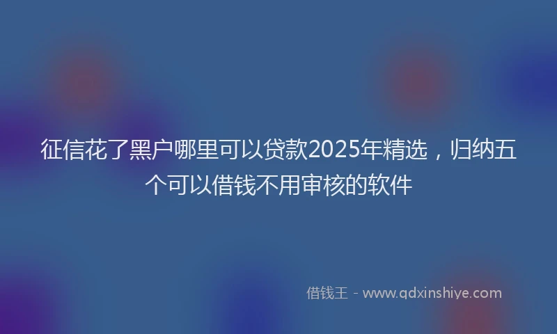 征信花了黑户哪里可以贷款2025年精选，归纳五个可以借钱不用审核的软件