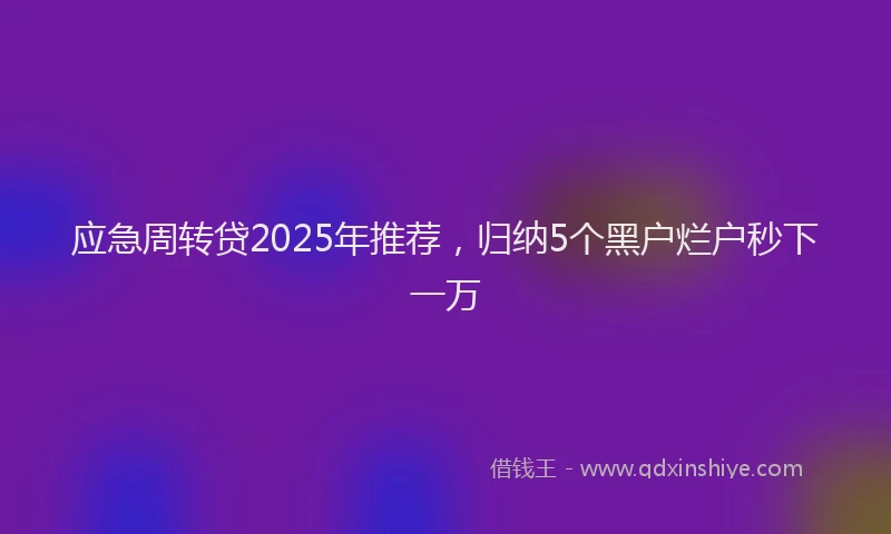 应急周转贷2025年推荐，归纳5个黑户烂户秒下一万