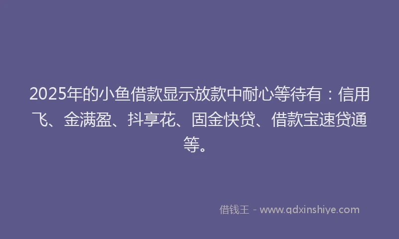2025年的小鱼借款显示放款中耐心等待有：信用飞、金满盈、抖享花、固金快贷、借款宝速贷通等。