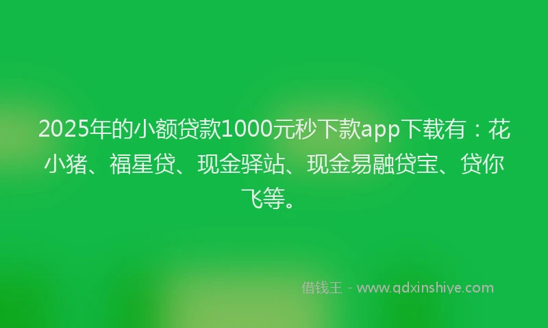 2025年的小额贷款1000元秒下款app下载有：花小猪、福星贷、现金驿站、现金易融贷宝、贷你飞等。