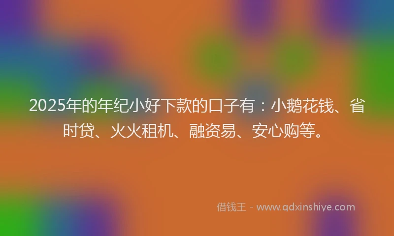 2025年的年纪小好下款的口子有：小鹅花钱、省时贷、火火租机、融资易、安心购等。