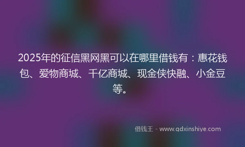 2025年的征信黑网黑可以在哪里借钱有：惠花钱包、爱物商城、千亿商城、现金侠快融、小金豆等。