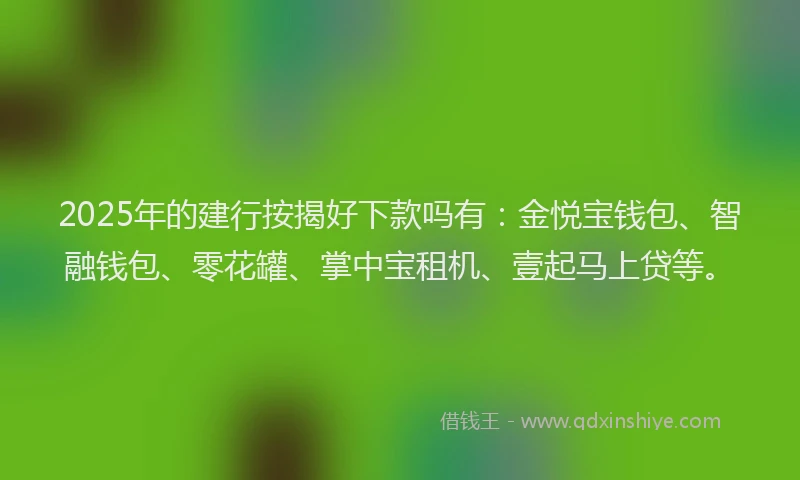 2025年的建行按揭好下款吗有：金悦宝钱包、智融钱包、零花罐、掌中宝租机、壹起马上贷等。