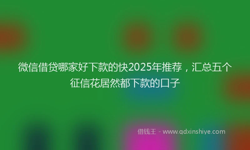 微信借贷哪家好下款的快2025年推荐，汇总五个征信花居然都下款的口子
