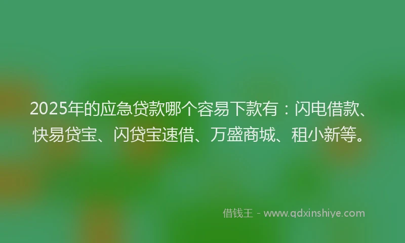 2025年的应急贷款哪个容易下款有：闪电借款、快易贷宝、闪贷宝速借、万盛商城、租小新等。
