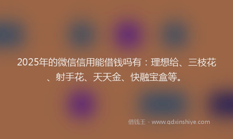 2025年的微信信用能借钱吗有：理想给、三枝花、射手花、天天金、快融宝盒等。