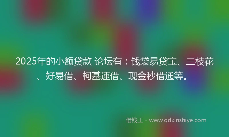 2025年的小额贷款 论坛有：钱袋易贷宝、三枝花、好易借、柯基速借、现金秒借通等。