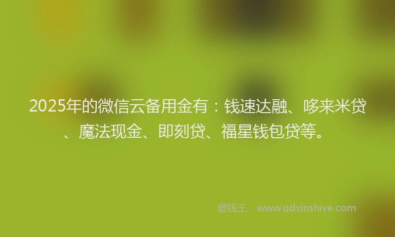 2025年的微信云备用金有：钱速达融、哆来米贷、魔法现金、即刻贷、福星钱包贷等。