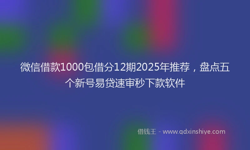微信借款1000包借分12期2025年推荐，盘点五个新号易贷速审秒下款软件