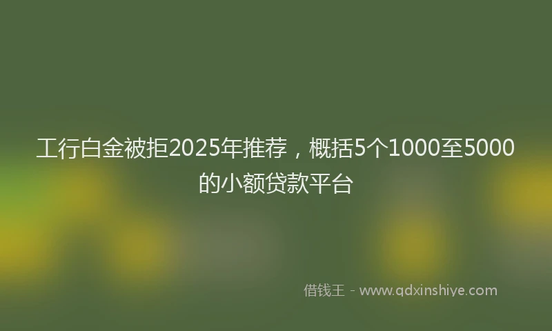 工行白金被拒2025年推荐，概括5个1000至5000的小额贷款平台