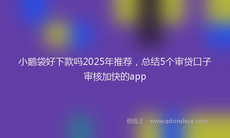 小鹅袋好下款吗2025年推荐，总结5个审贷口子审核加快的app