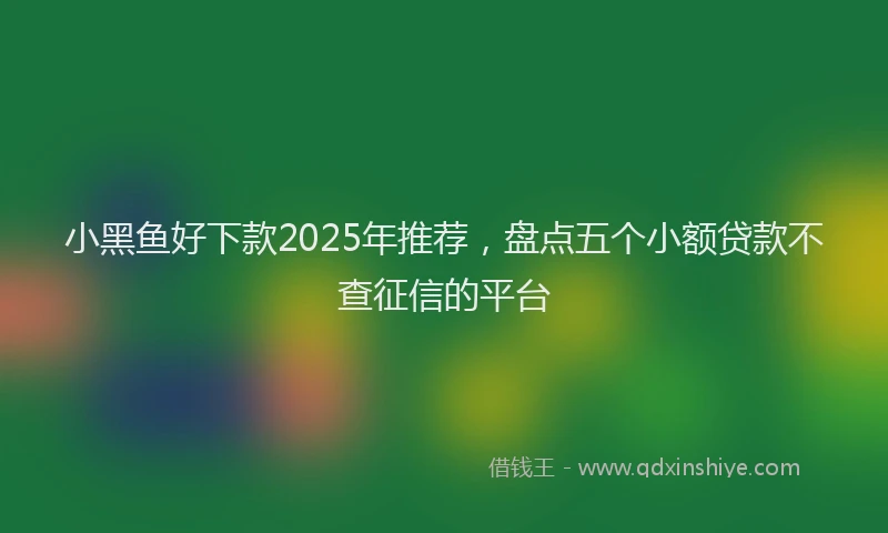 小黑鱼好下款2025年推荐，盘点五个小额贷款不查征信的平台