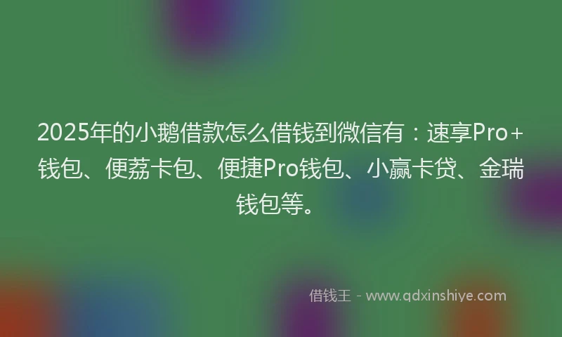 2025年的小鹅借款怎么借钱到微信有：速享Pro+钱包、便荔卡包、便捷Pro钱包、小赢卡贷、金瑞钱包等。