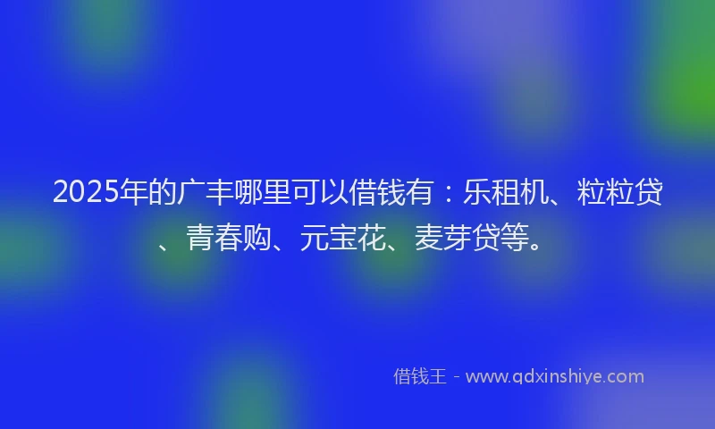 2025年的广丰哪里可以借钱有：乐租机、粒粒贷、青春购、元宝花、麦芽贷等。