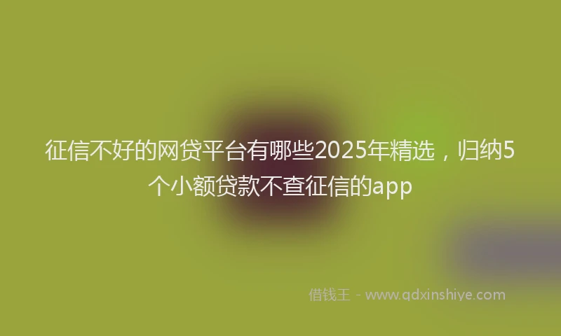 征信不好的网贷平台有哪些2025年精选，归纳5个小额贷款不查征信的app