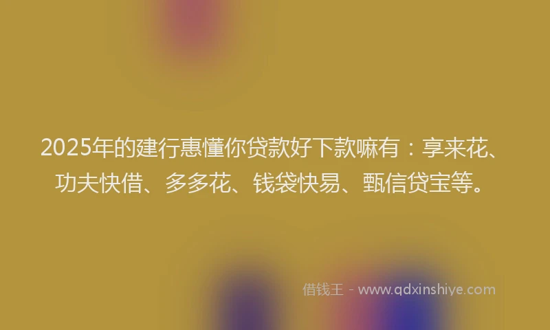 2025年的建行惠懂你贷款好下款嘛有：享来花、功夫快借、多多花、钱袋快易、甄信贷宝等。