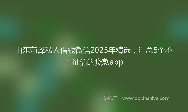 山东菏泽私人借钱微信2025年精选，汇总5个不上征信的贷款app