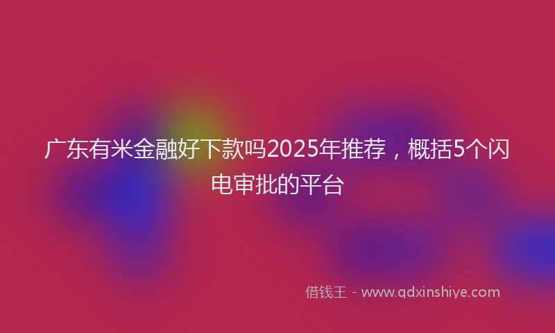广东有米金融好下款吗2025年推荐，概括5个闪电审批的平台
