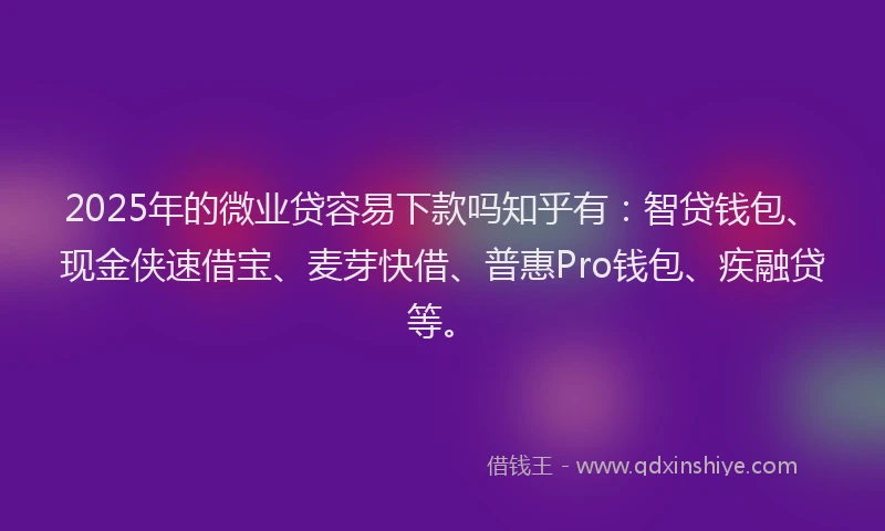 2025年的微业贷容易下款吗知乎有：智贷钱包、现金侠速借宝、麦芽快借、普惠Pro钱包、疾融贷等。