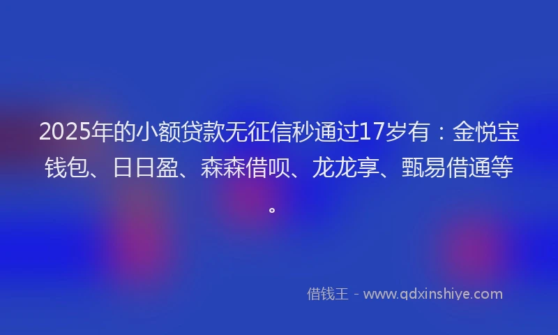 2025年的小额贷款无征信秒通过17岁有：金悦宝钱包、日日盈、森森借呗、龙龙享、甄易借通等。