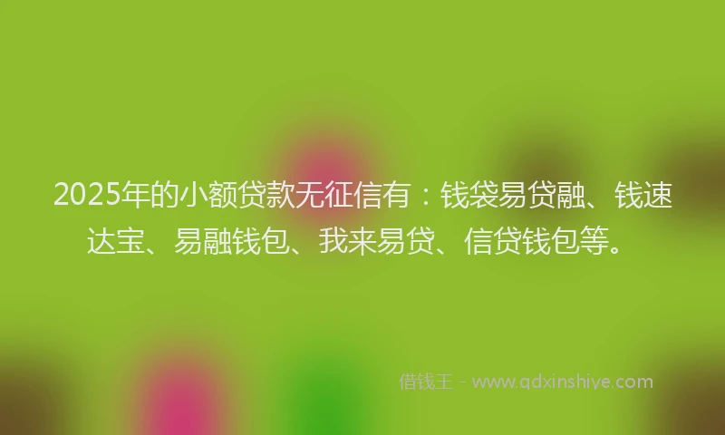 2025年的小额贷款无征信有：钱袋易贷融、钱速达宝、易融钱包、我来易贷、信贷钱包等。